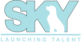 Sky Services Logo